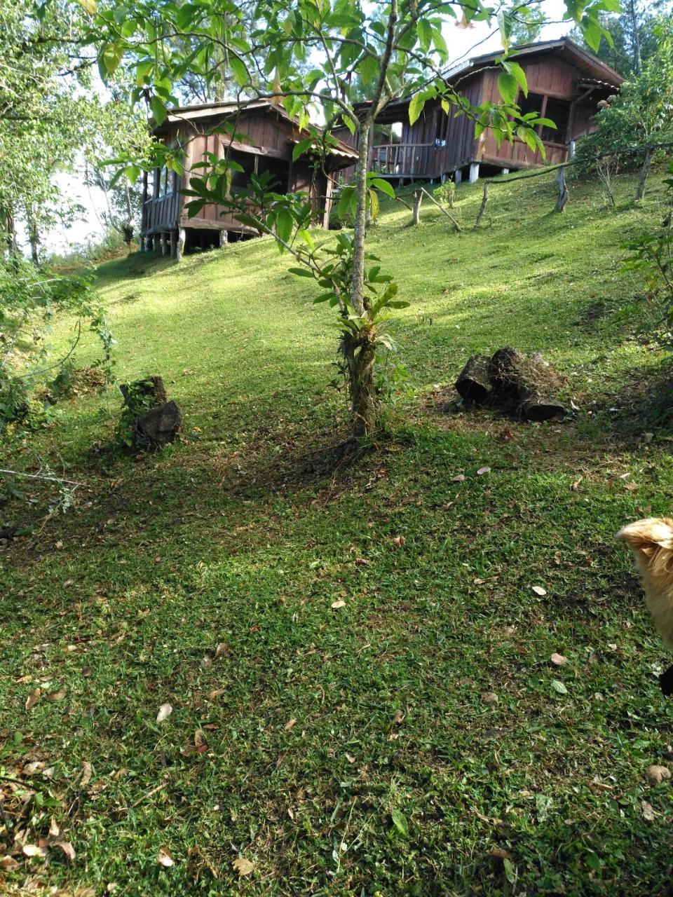 Cabanas Don Camilo Albergue De Montana Cabecera de Canas Buitenkant foto